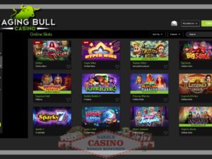 Raging Bull casino review