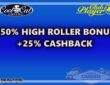 Exclusive high roller bonus RTG casinos