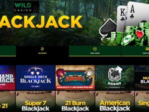 Wild Casino review