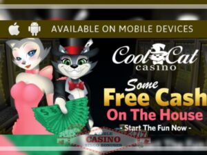 $100 No Deposit Bonus from Cool Cat Casino