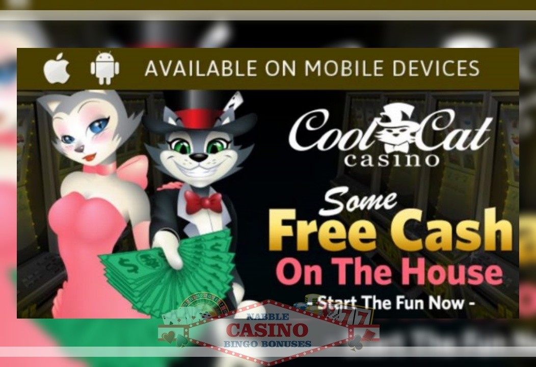 Cool Cat casino no deposit mobile slots bonus