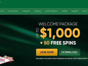 reels of joy casino review