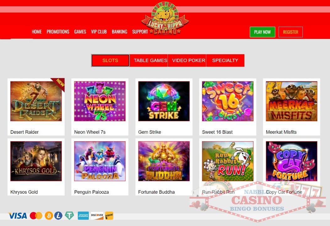 Lucky Hippo casino review 2024