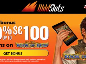 wildslots 1117