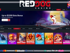 Red Dog casino review