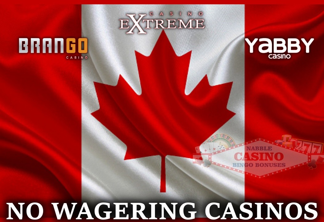 No Wagering Online Casinos Canada | Get 200% No Rules bonus and $100 No Deposit Bonus 1 No wagering online casinos Canada