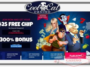 Cool Cat casino no rules bonus codes