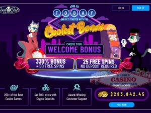 Cool Cat casino high roller bonuses 0811