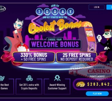 Cool Cat casino high roller bonuses 0811
