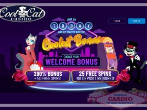 Cool Cat casino no rules bonus codes 11