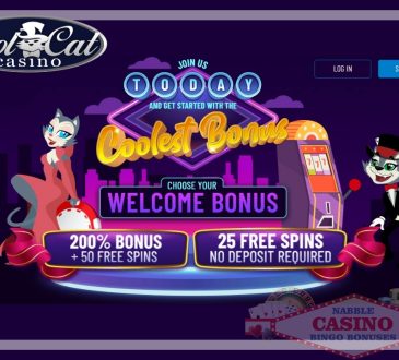Cool Cat casino no rules bonus codes 11