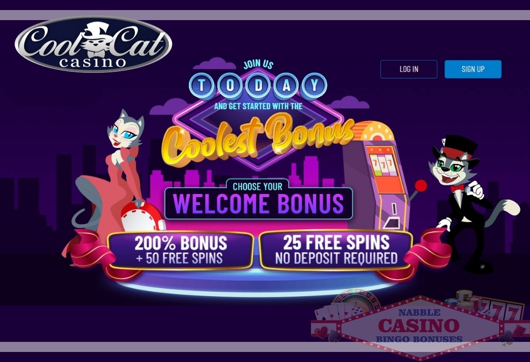 Cool Cat casino no rules bonus codes 11