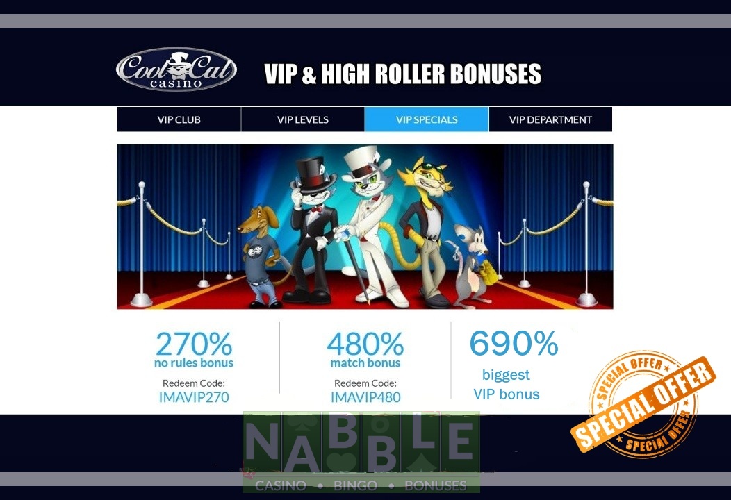 Cool Cat casino VIP bonuses 2024