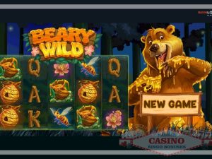 Beary Wild slot review