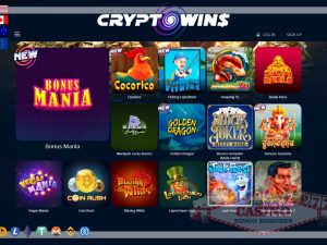 Cryptowins casino review