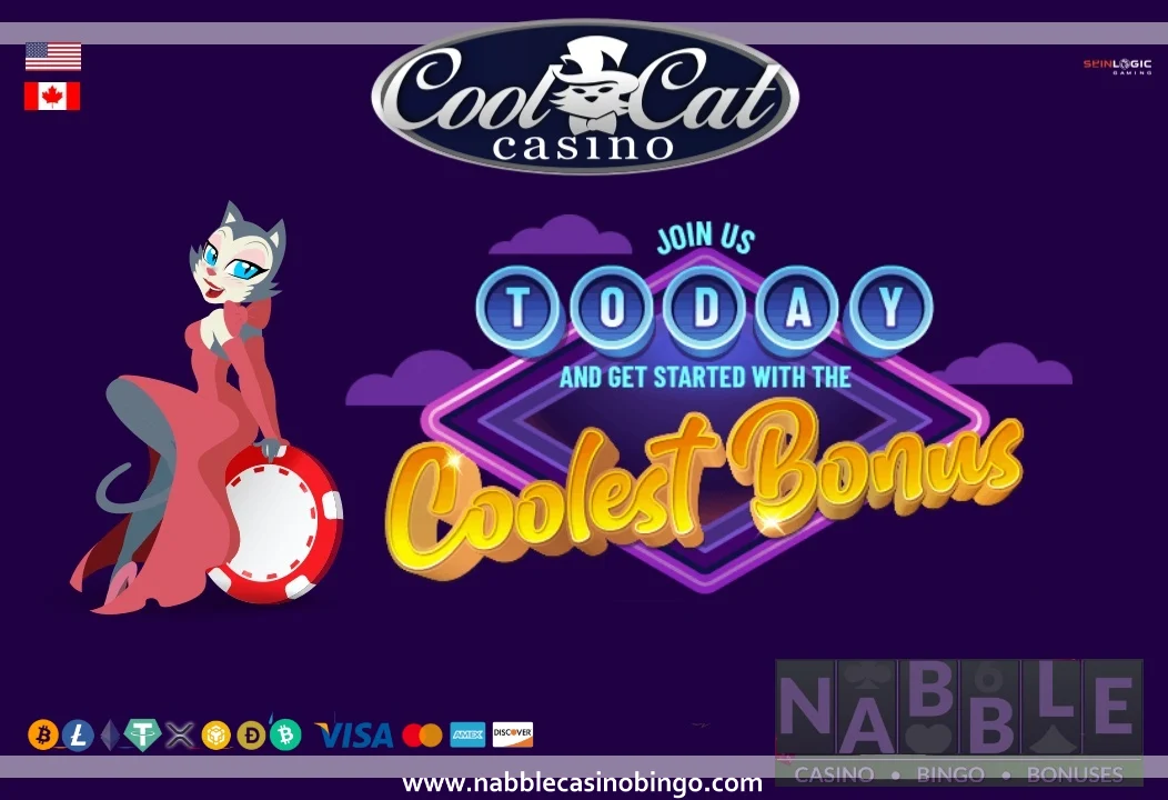 Cool Cat casino no wagering