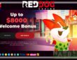 Red Dog casino Welcome bonuses 2024