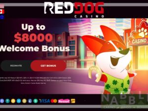 Red Dog casino Welcome bonuses 2024