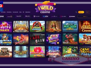 iWild casino review