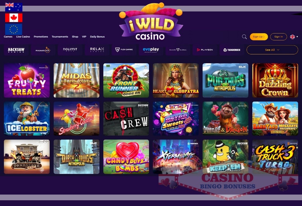 iWild casino review