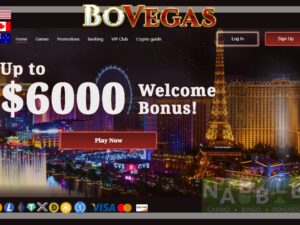 Bovegas casino bonus codes 2024 new