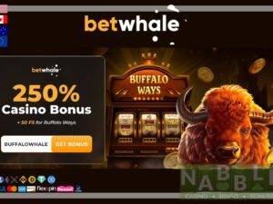 Betwhale casino bonus codes 2024