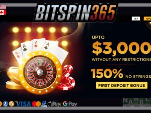 BitSpin365 casino promotions
