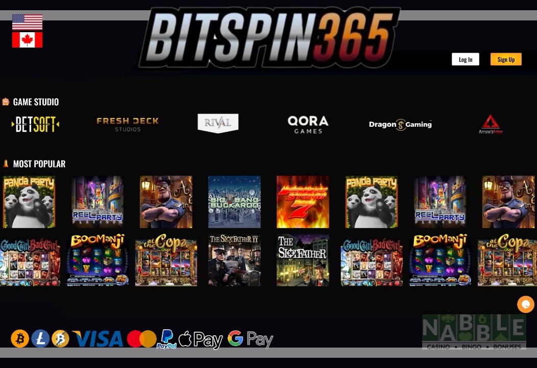 BitSpin365 casino review