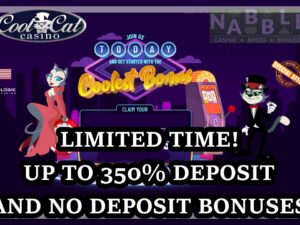 Cool Cat casino one time bonus offers 2024