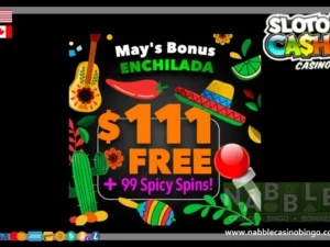 SlotoCash casino bonus packs 05