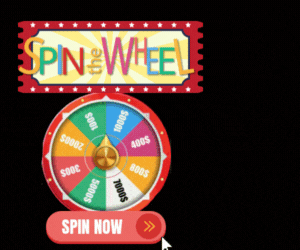 SPIN THE WHEEL GIF