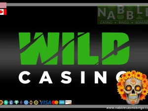 Wild casino promotions bonuses Dia de los Muertos