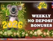 Fair Go casino no deposit bonuses New Year