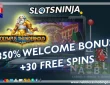 Slots Ninja casino bonus codes Olympus Thunderhold slot