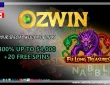 Ozwin casino bonus codes and promotions Fu Long Treasures slot