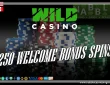 Wild casino promotions and bonuses
