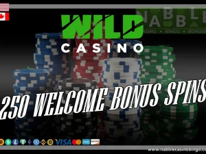 Wild casino promotions and bonuses