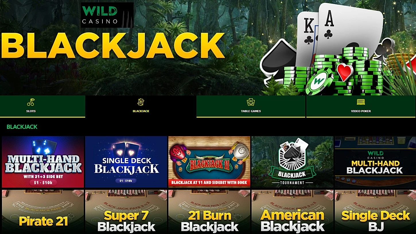 Wild Casino review