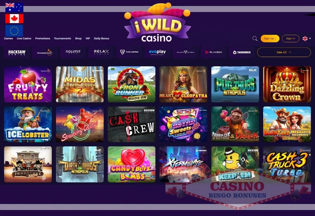 iWild casino review