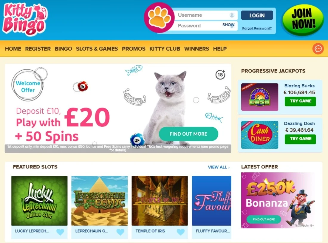 Kitty Bingo 2020