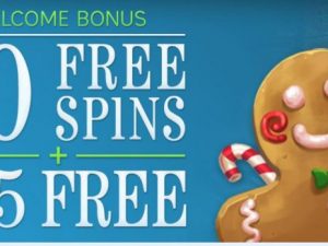 bingo fest welcome bonus