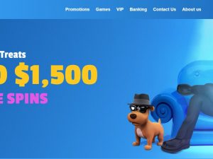 jackmillion casino