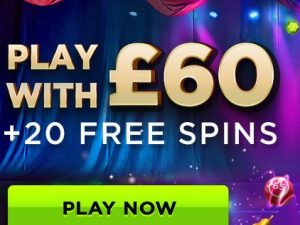 polo bingo welcome bonus