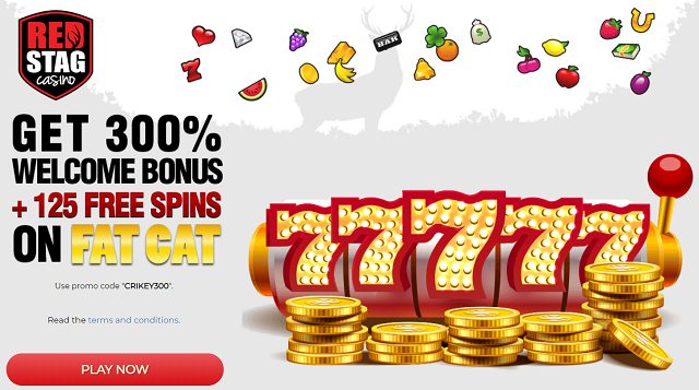 Red Stag casino offering best pokies online