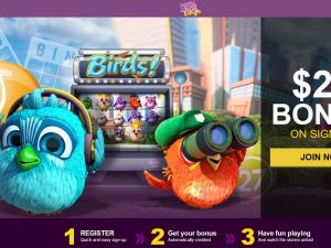 South Beach bingo Nabble